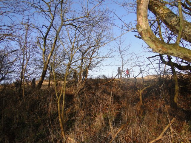 NWK 2010 210.jpg